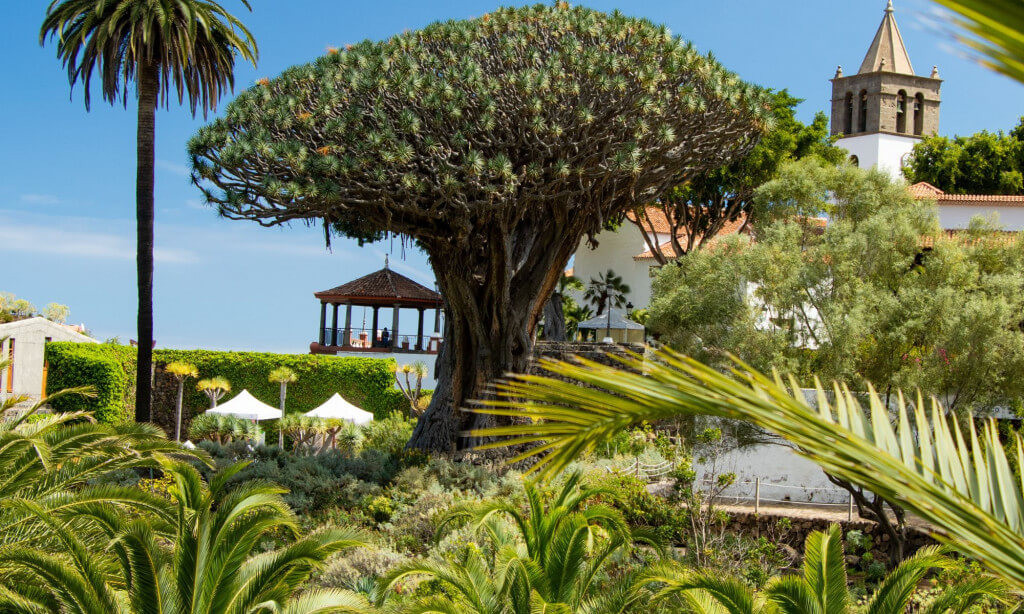 TENERIFE KÖRUTAZÁS